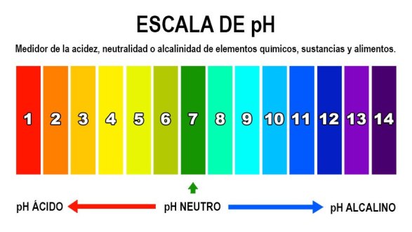 ¿Qué es el pH del agua y por qué es importante tenerlo en el nivel adecuado?